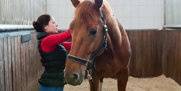 Дистанционное обучение Коневод 