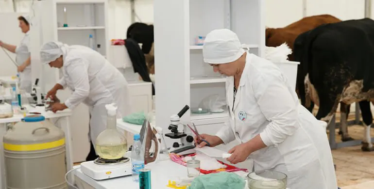 Дистанционное обучение Оператор по искусственному осеменению животных 